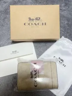 Item thumbnail for item dc8d0b05-41bb-4bb1-b48f-9dc1dc6490c5