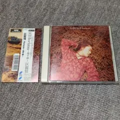 Horizon～地平線～　区麗情