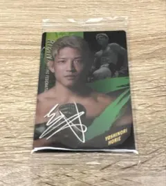 Item thumbnail for item 77dfaf1b-3b95-43af-b193-9557566749d4