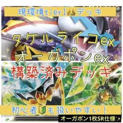 【本格構築】タケルライコex構築済みデッキ
