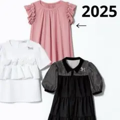 Rene 2025年製 肩フリルカットソー　トップス ピンク系 34 パール