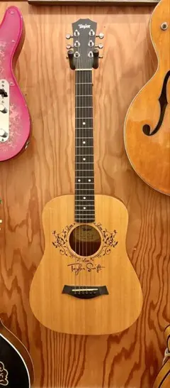 2025年最新】テイラースウィフトギターピックの人気アイテム