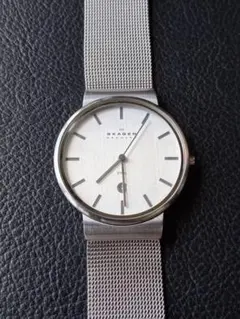 SKAGEN スカーゲン 351LSSCM 腕時計