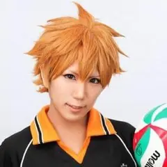 ハイキュー!! 日向 翔陽 風 ウィッグ コスプレ キャラウィッグ