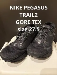 NIKE PEGASUS TRAIL 2 GTX 27.5 オールブラック