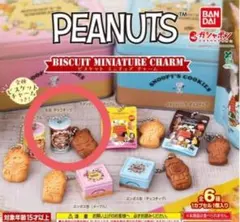 PEANUTS ビスケットミニチュアチャーム　丸缶チョコチップ