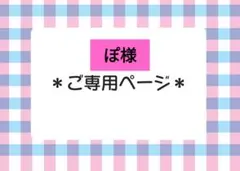 ぽ様 ご専用ページ✩.*˚