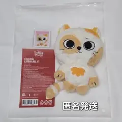 BOYNEXTDOOR BBNEXDO SUNGHO プネクド キーリング