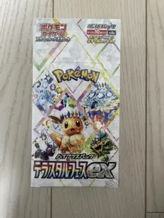 a*k様 ポケモンカードゲーム テラスタルフェスex