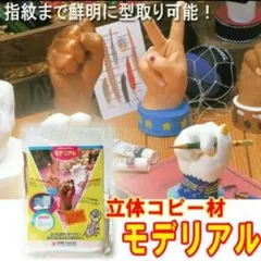 3D 카피 소재 모델링 핸드 패턴 생성 키트