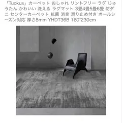 신품 미사용 러그 & 카페트 호텔 라이크