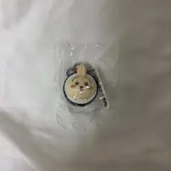 くら寿司うさぎ