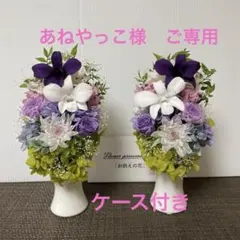 Item thumbnail for item ced44463-f623-4508-b974-78df96610c34