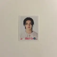 Stray Kids スキズ celebrATE IDフォト バンチャン