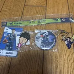 菅野翔太 長崎ヴェルカ