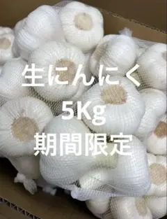 新物 令和8年度産 青森県産 福地ホワイト六片 生にんにく M 玉