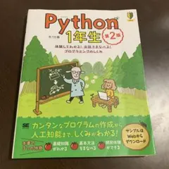 python IT