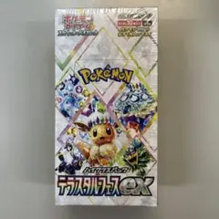 2025年最新】テラスタルフェス boxの人気アイテム - メルカリ