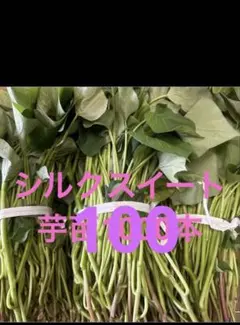 シルクスイート芋苗200本最終セール - メルカリ