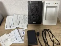 FX42 極美品SONY ポータブルオーディオプレーヤー ウォークマン64GB FX42 極美品SONY ポータブルオーディオプレーヤー ウォークマン64GB