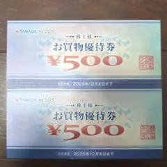 ヤマダ電機 お買物優待券 1000円分(500円券×2枚)