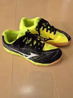 Item thumbnail for item 4d919b42-ff3a-42aa-872e-37dcdeef61ac