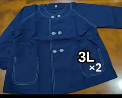 Item thumbnail for item 9f2d9e5a-5b22-44d0-a796-86bf6a42e777