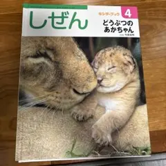 しぜん 絵本シリーズ 12冊セット