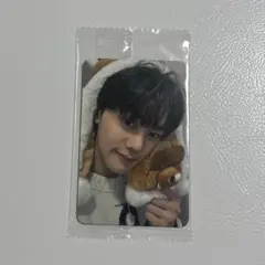 ZEROBASEONE ZB1 ギュビン ktown4u レッサーパンダ トレカ