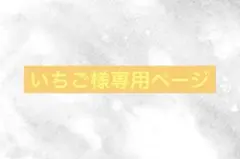 いちご様専用ページ