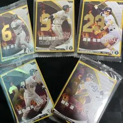 新品未開封☆プロ野球ファンスターリーグキャンペーンカードソフトバンク