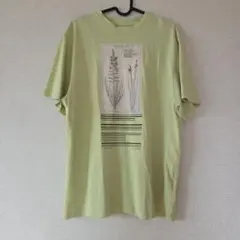 AmeriVINTAGE CROPFRAMEFLOWERTEE　ライム　アメリのサムネイル