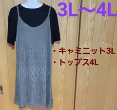 ☆大きいサイズ　3L～4L　セットアップ☆