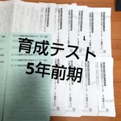 2022年日能研前期＆後期５年育成テスト＋春期夏期冬期テスト 2025年最新】日能研 育成テスト 5年の人気アイテム - メルカリ