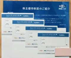商船三井 フェリーサービスクーポン券 5000円分×4枚　さんふらわあのサムネイル