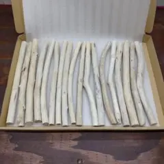 流木切れ端　no.224