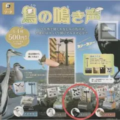 Item thumbnail for item 923131fe-eed0-423d-becc-8537c3460bb2