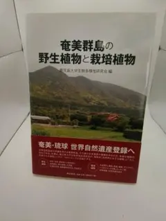 Item thumbnail for item 046fba6a-e5ef-4e80-958c-7dc7e942c0c1