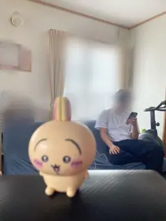 デカすぎワロタちいかわうさぎ