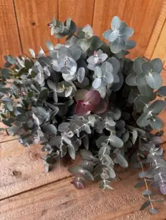 リコ様 リクエスト 3点 まとめ商品