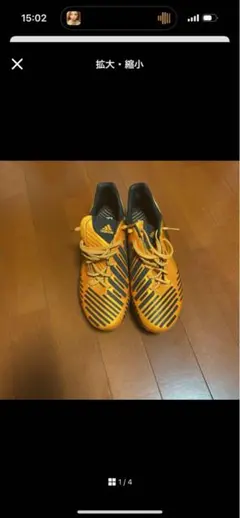 プレデターリーサルゾーン