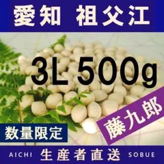 2026年新物 藤九郎 銀杏 祖父江産 4L 500g - メルカリ