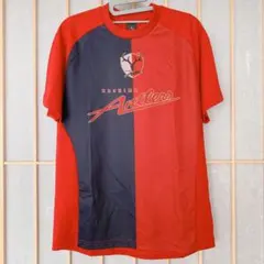 Item thumbnail for item 601c08db-a93f-440f-8af6-bc22d965ac0c