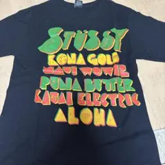 STUSSY Ｔシャツのサムネイル