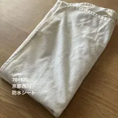 Item thumbnail for item fea74c55-9233-46fc-96a9-b48a04730e96