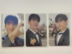 SEVENTEEN FML carat盤 ドギョム