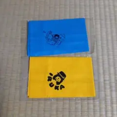 歌手　イルカ 　ハンカチ 2枚セット （新品　未使用　未開封）