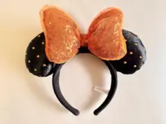 東京ディズニーランド カチューシャ フリーミニー