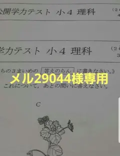 メル29044様専用