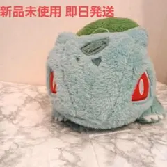 상태좋음 ポケットモンスター 이상해씨 봉제인형 포켓몬 グッズ
